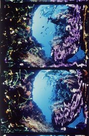 brakhage-painted