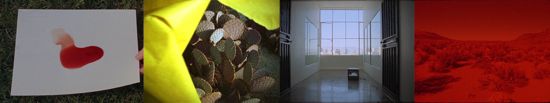 Landscape Plus with Laida Lertxundi