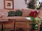 Three Domestic Interiors