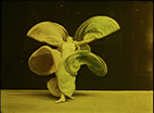 Edison Butterfly [Serpentine] Dance