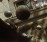 Dorsky_Sarabande_1