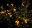 201404_dorsky_object_590_0