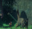 Holmes_Returning_2