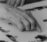 Morris_FirstHermanubis_3