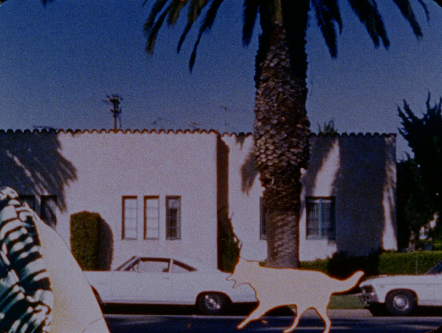 Canyon Cinema : Now Available: 15 New Exhibition Files from Pat O’Neill