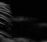 Rorison_Emergence_1