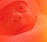 turano_firstlight_1